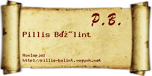 Pillis Bálint névjegykártya