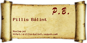Pillis Bálint névjegykártya